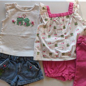 Girls 2T Clothing lot - 12 pieces - Gymboree/Carter's